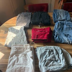 Women's Assorted Jeans Collection